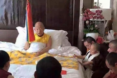 Yangsi Penor Rinpoche Mahasukha Europe (2)